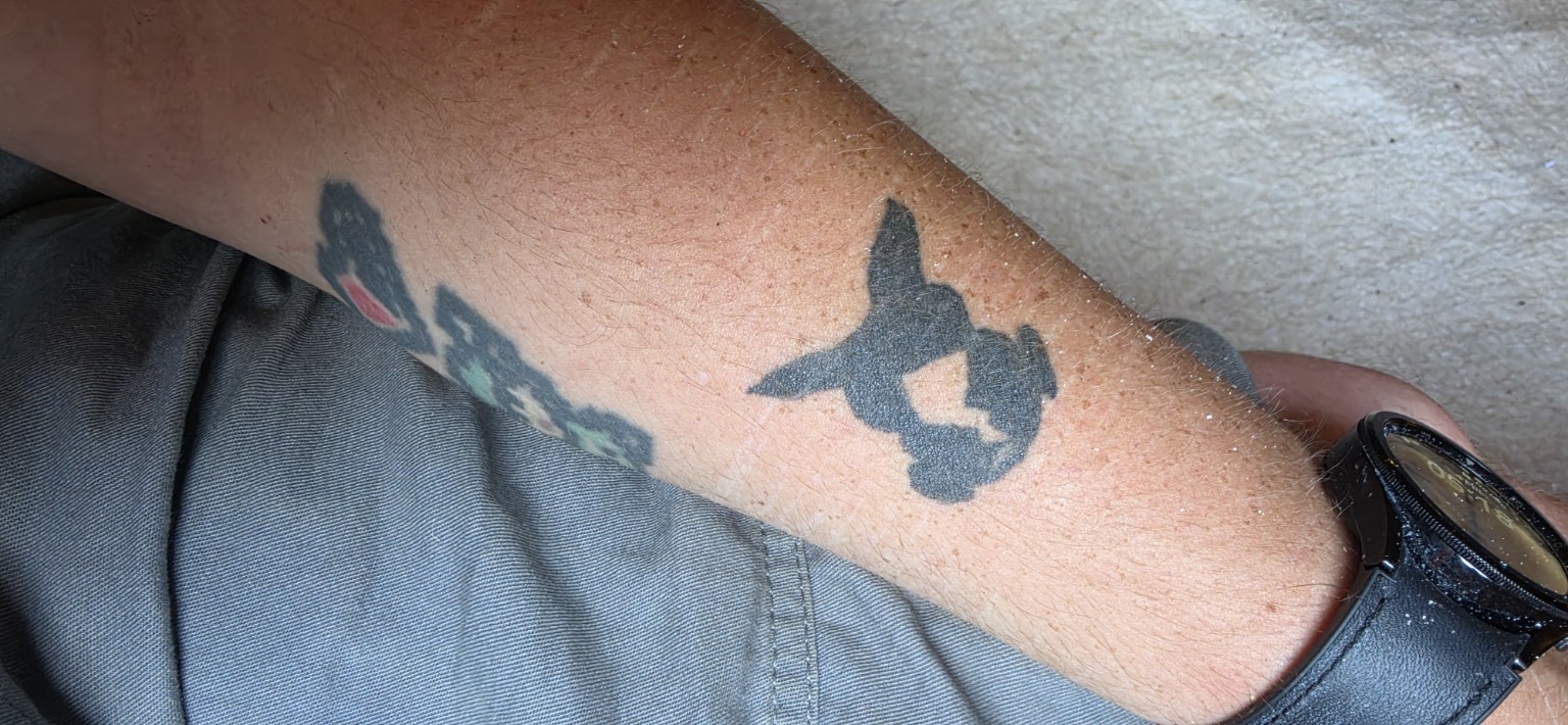 Blackwork silhouette tattoo on a forearm
